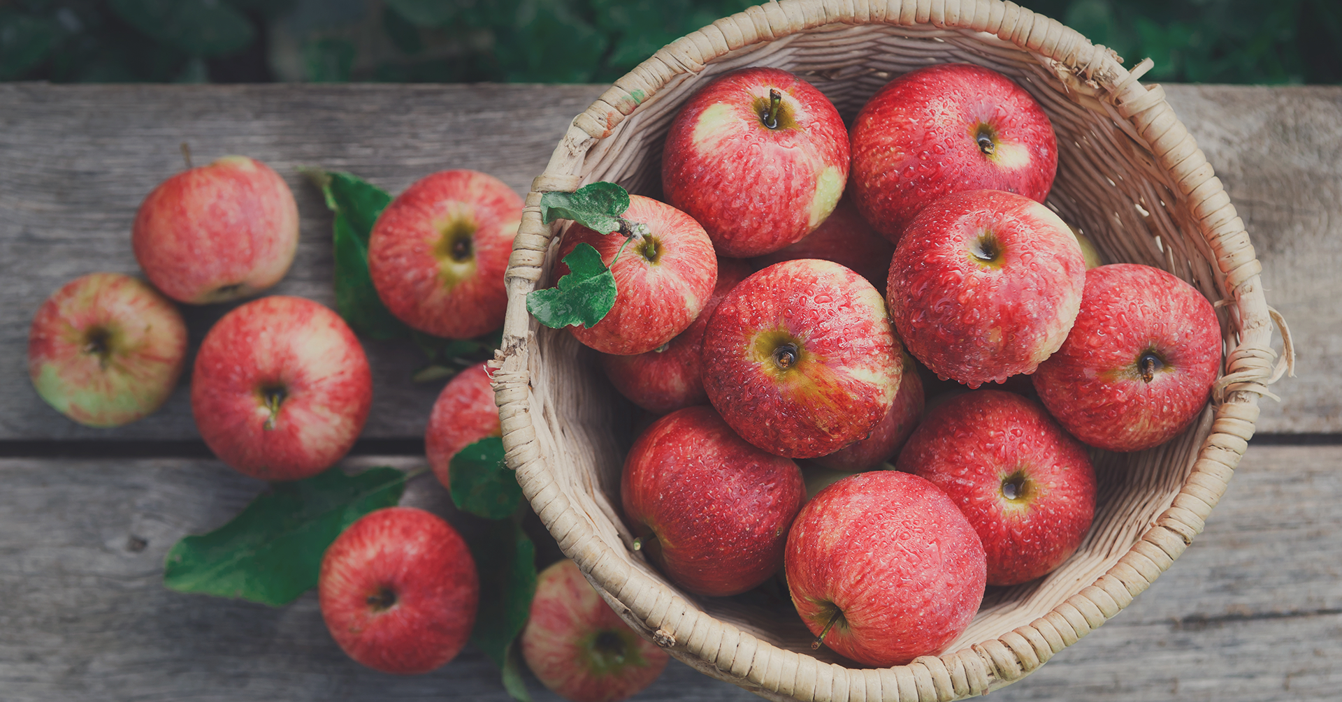 bushel-of-apples
